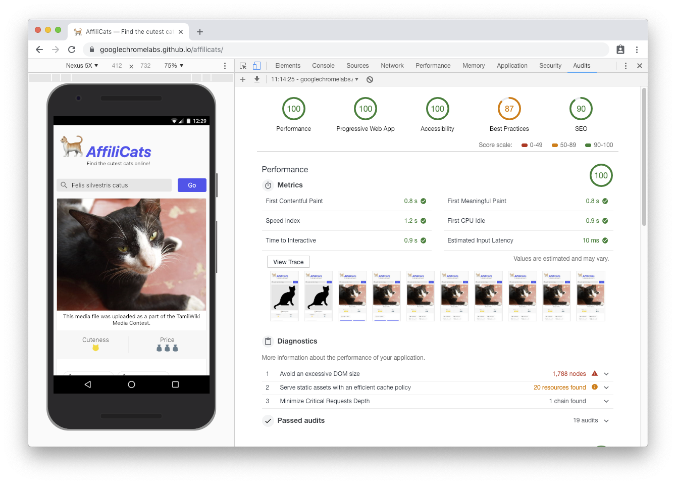 🐈 AffiliCats meets the PWA installability quality bar in Lighthouse.