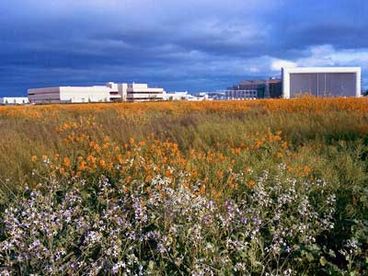 NASA Ames blimp hangar